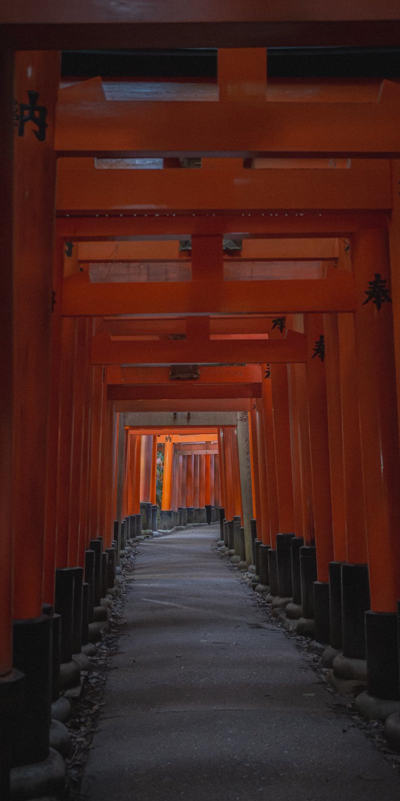 Kumano Kodo 2