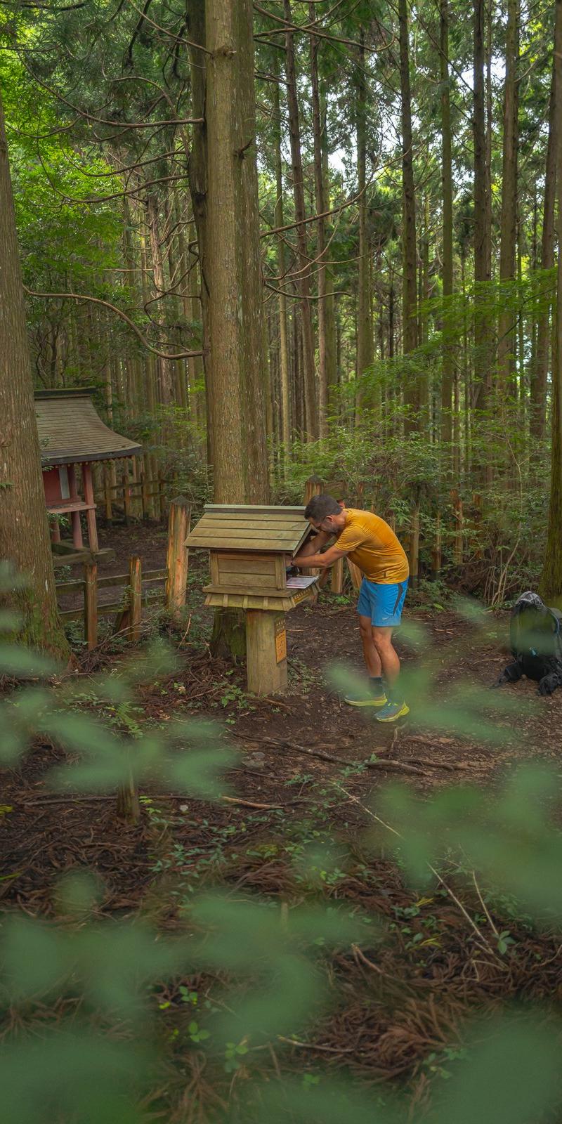 Kumano Kodo 2