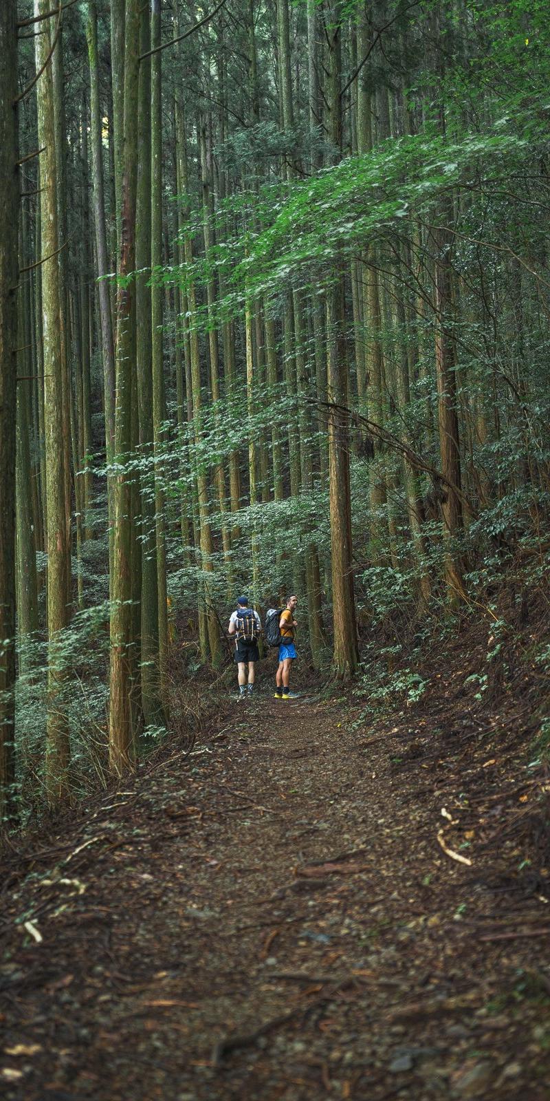 Kumano Kodo 2
