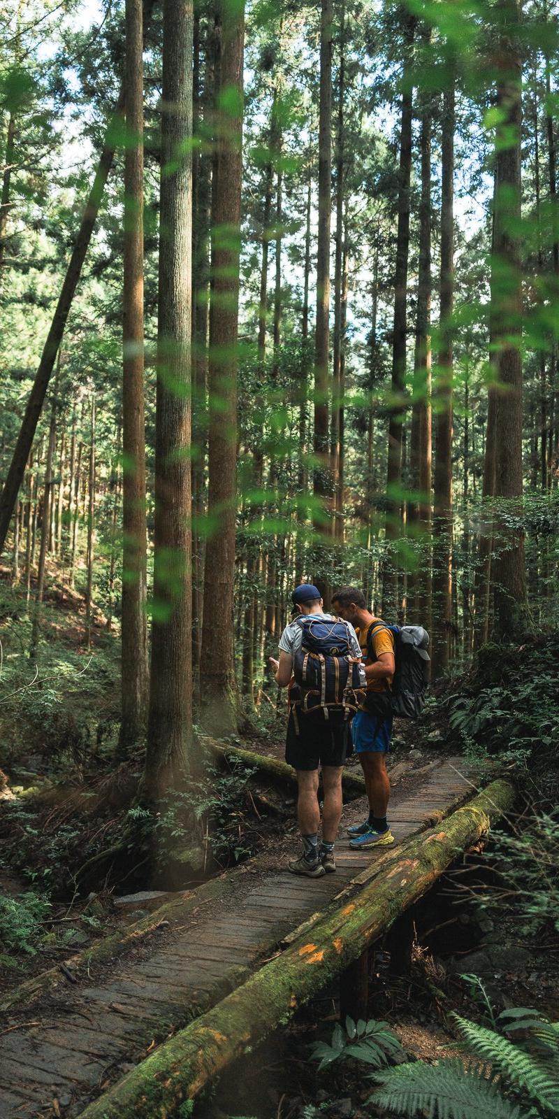 Kumano Kodo 2