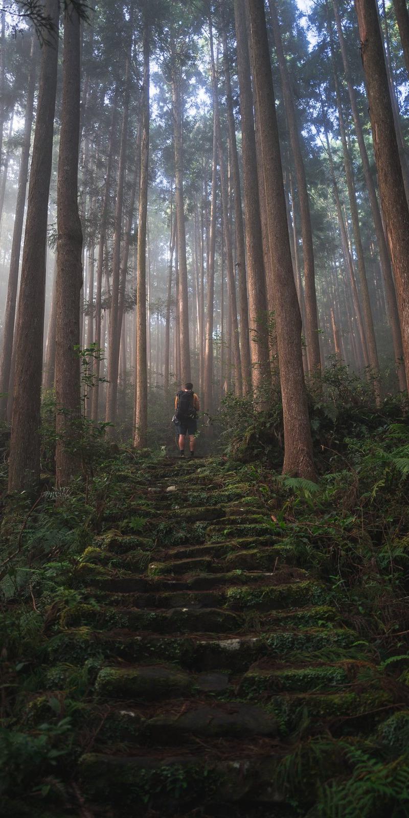 Kumano Kodo 2