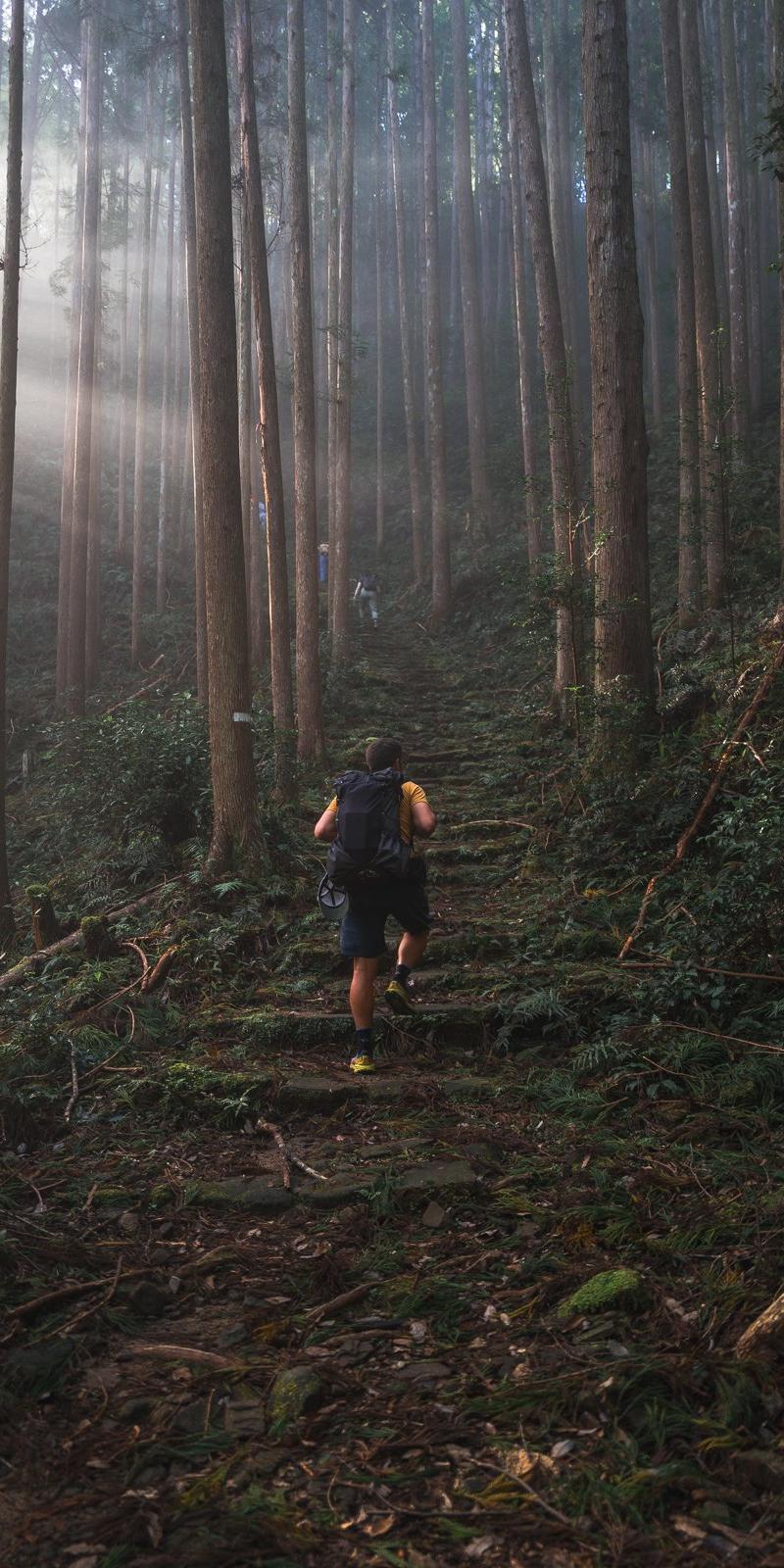 Kumano Kodo 2