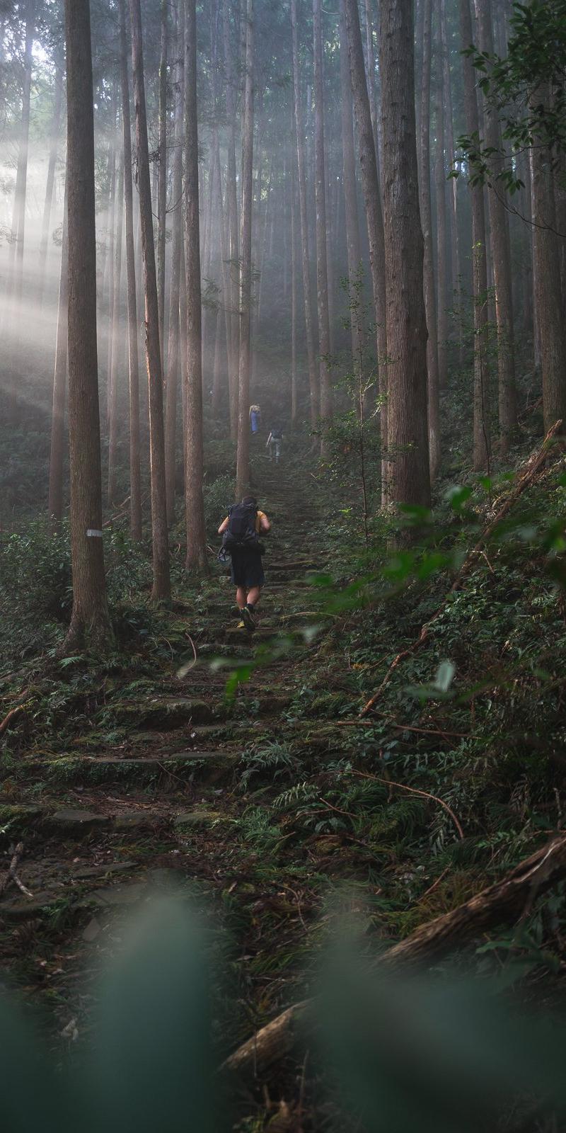 Kumano Kodo 2