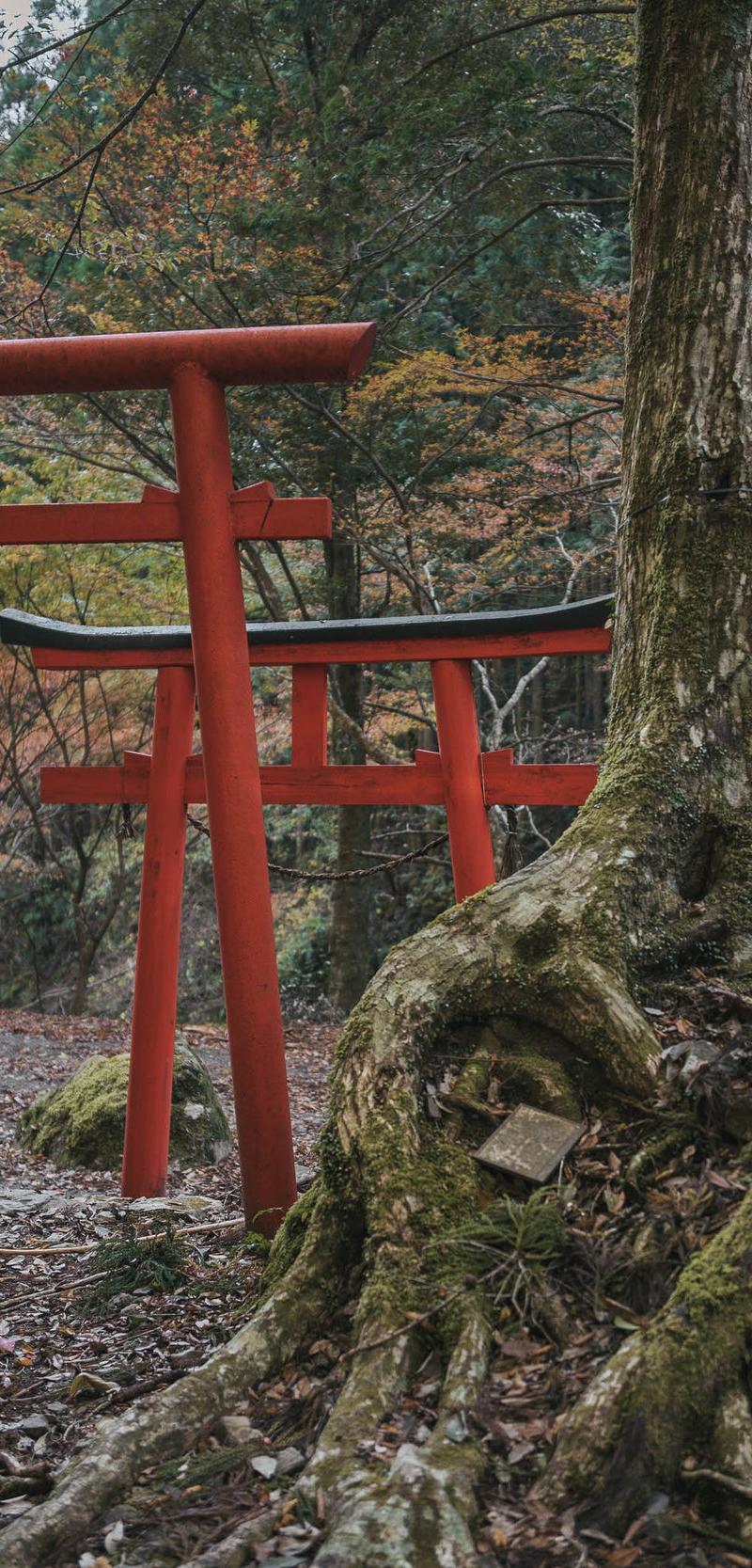Kumano Kodo