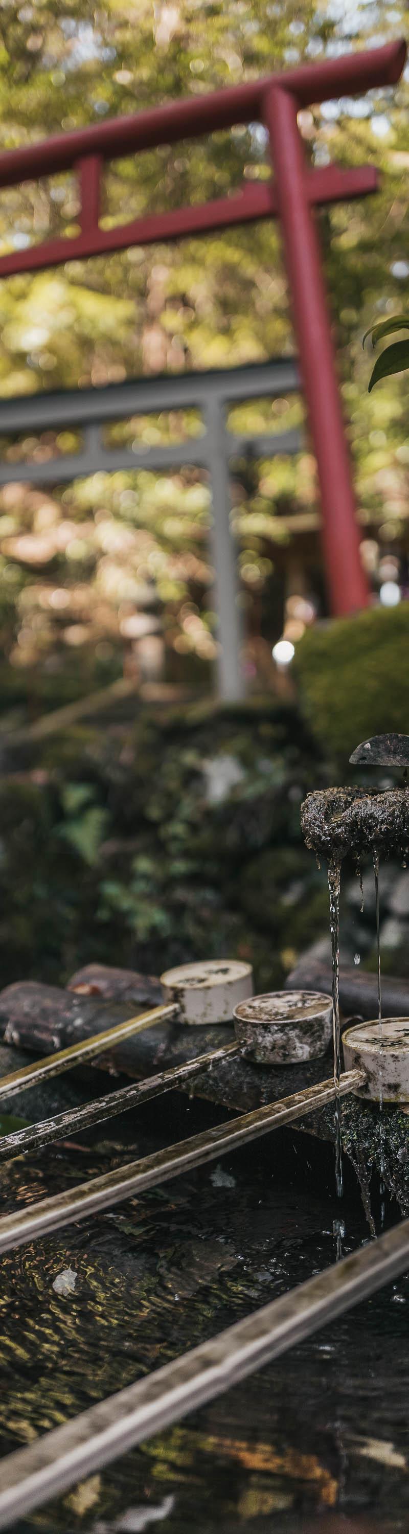 Kumano Kodo