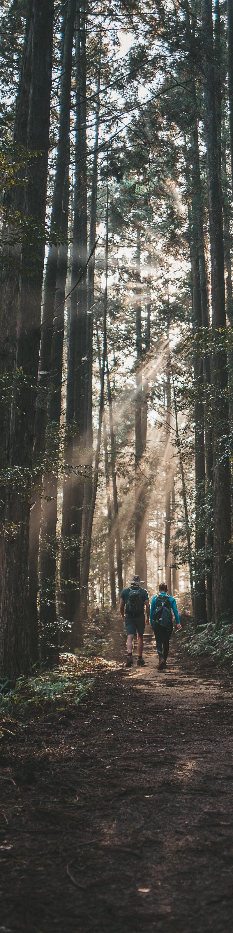 Kumano Kodo