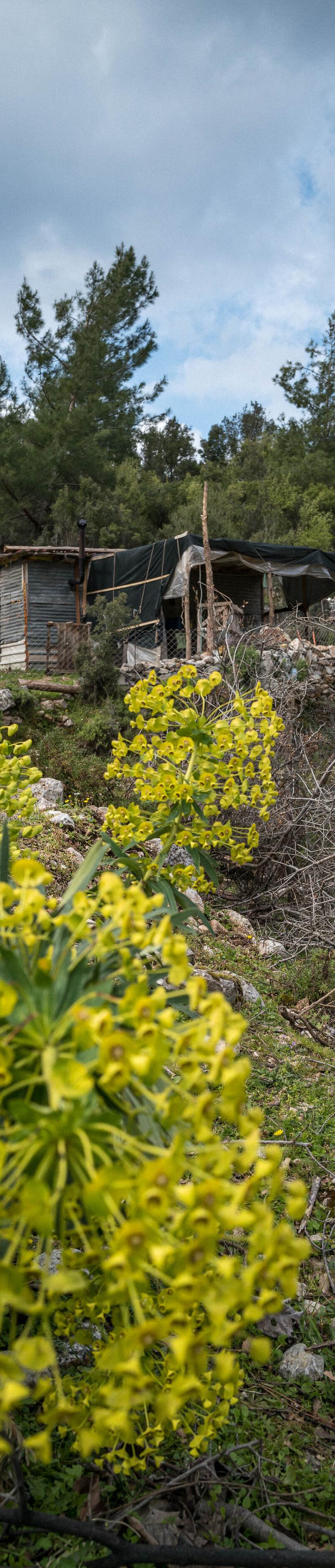 Lycian Way