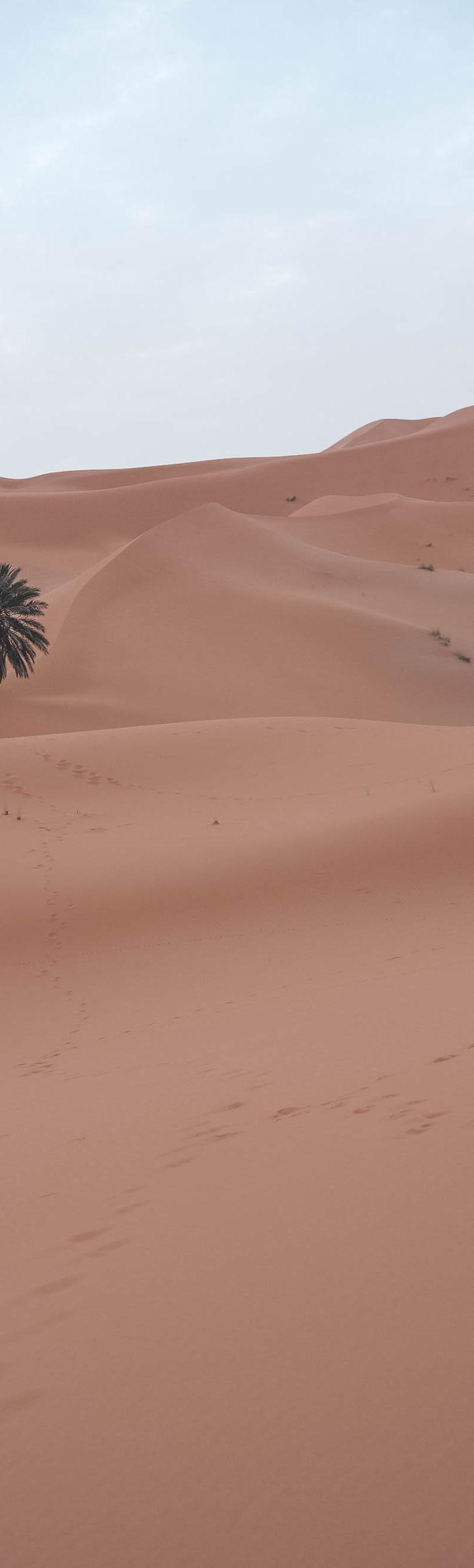 Morocco