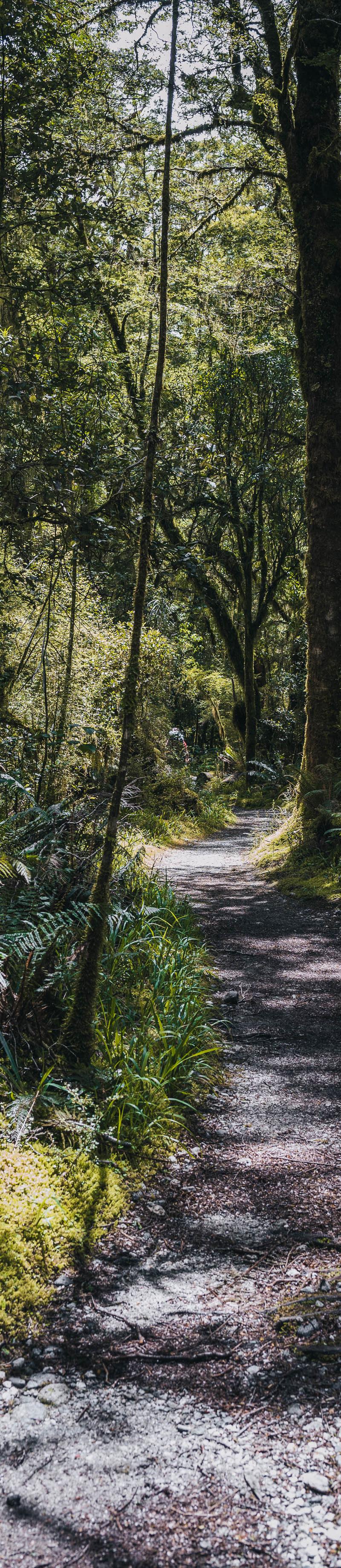 New Zealand