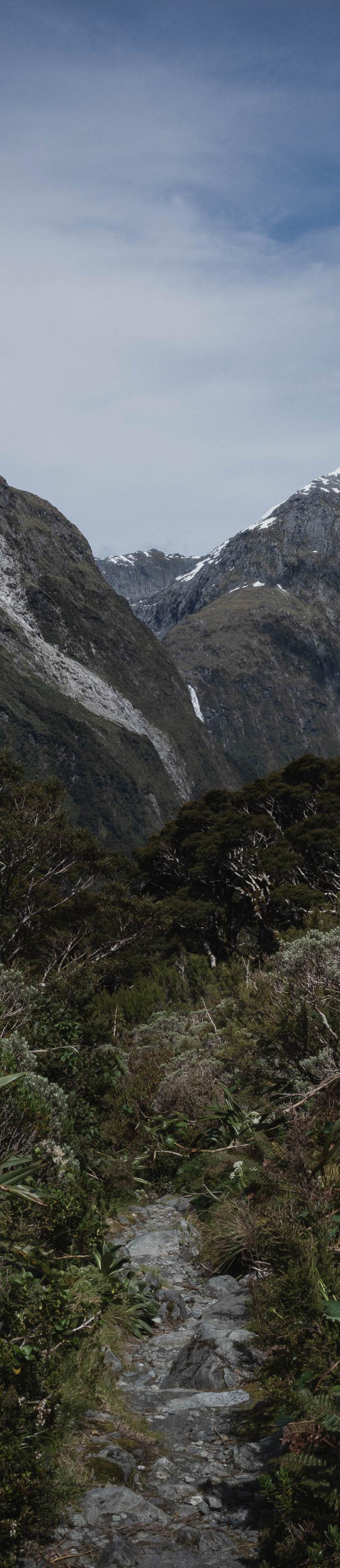 New Zealand