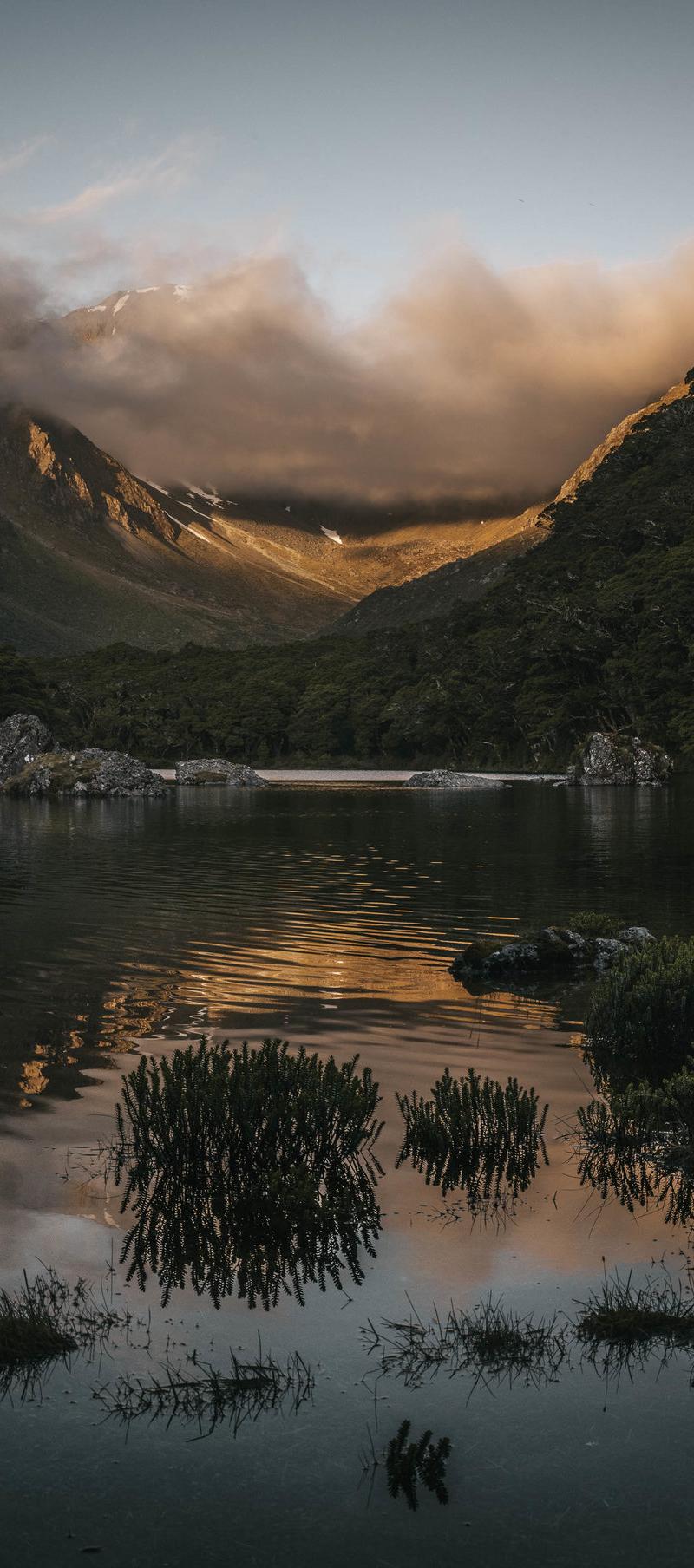 New Zealand