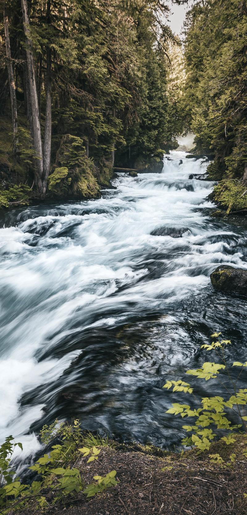 Oregon