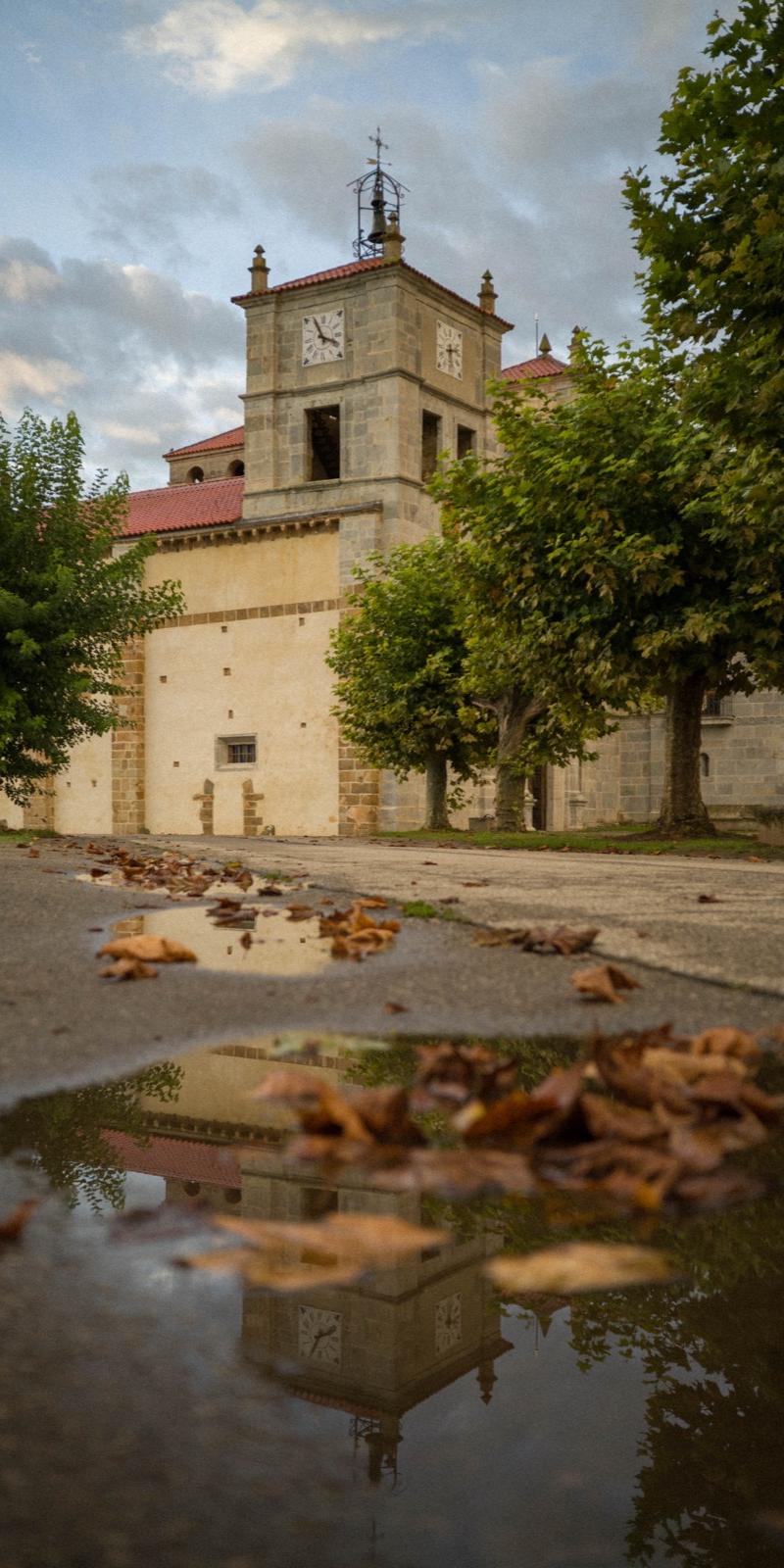 Primitivo