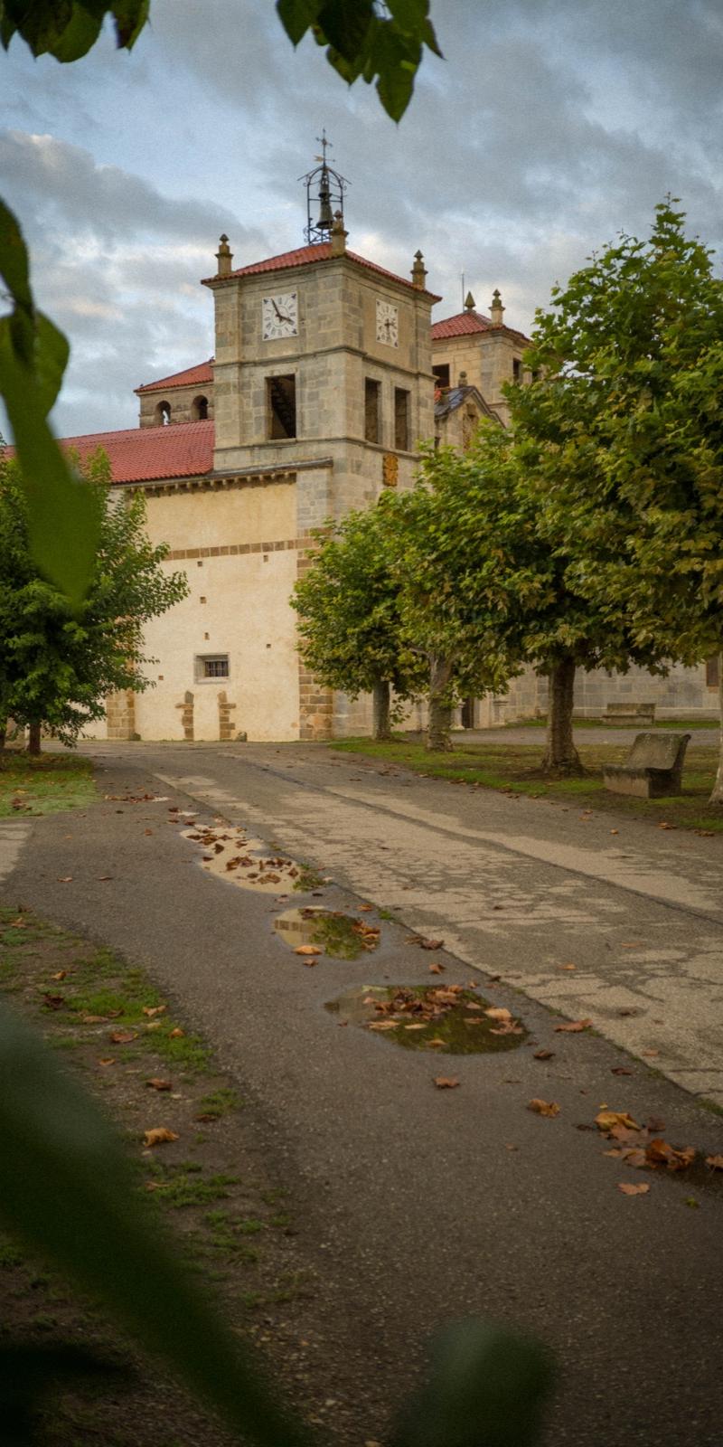 Primitivo
