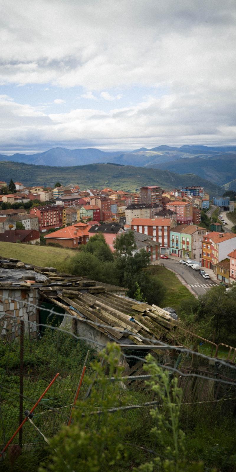 Primitivo