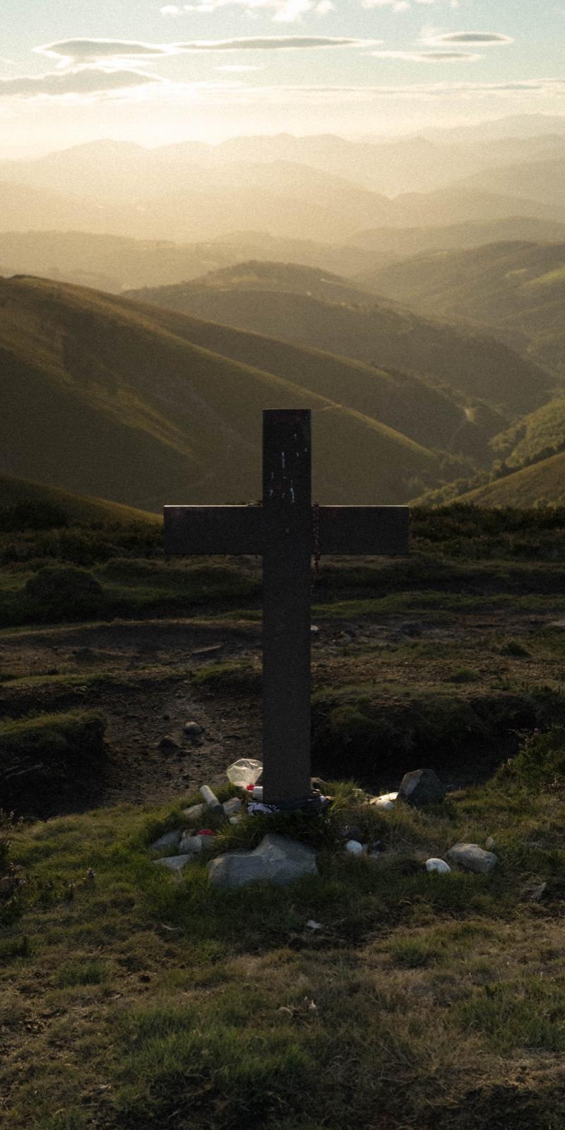 Primitivo