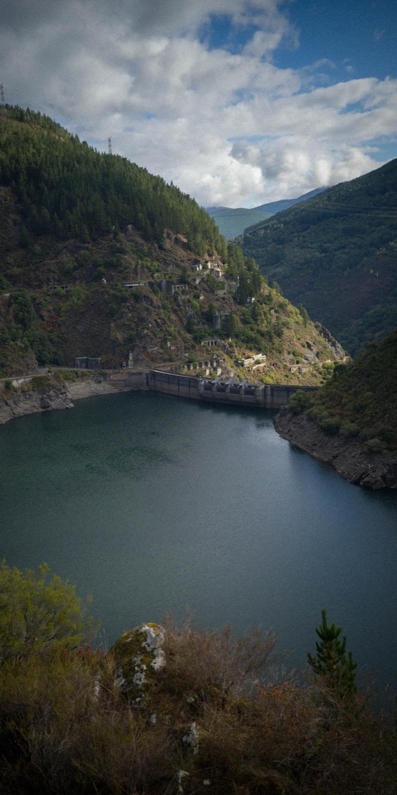Primitivo