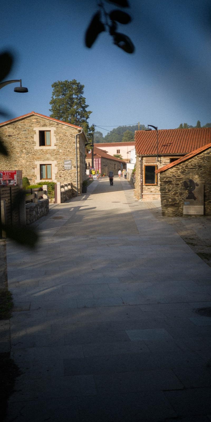 Primitivo