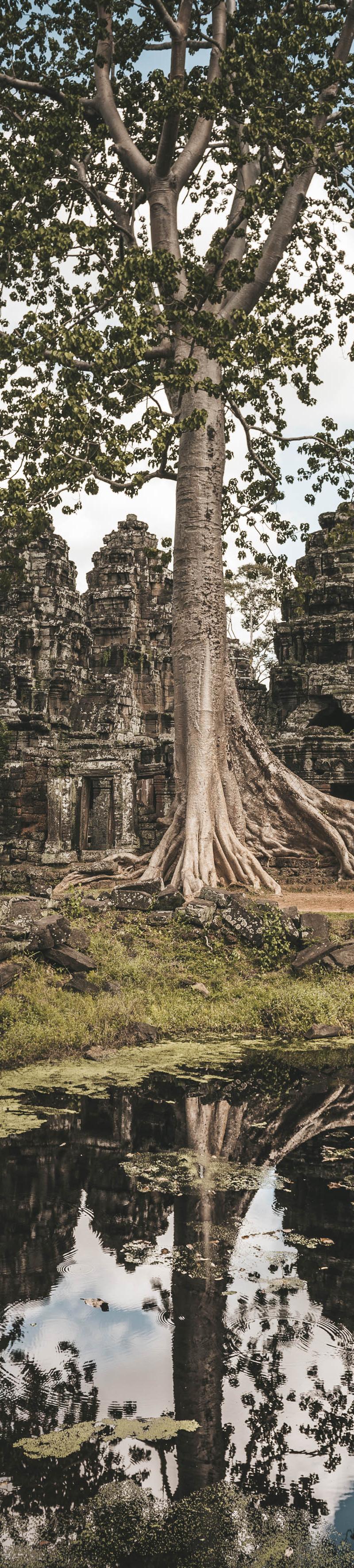 SE Asia