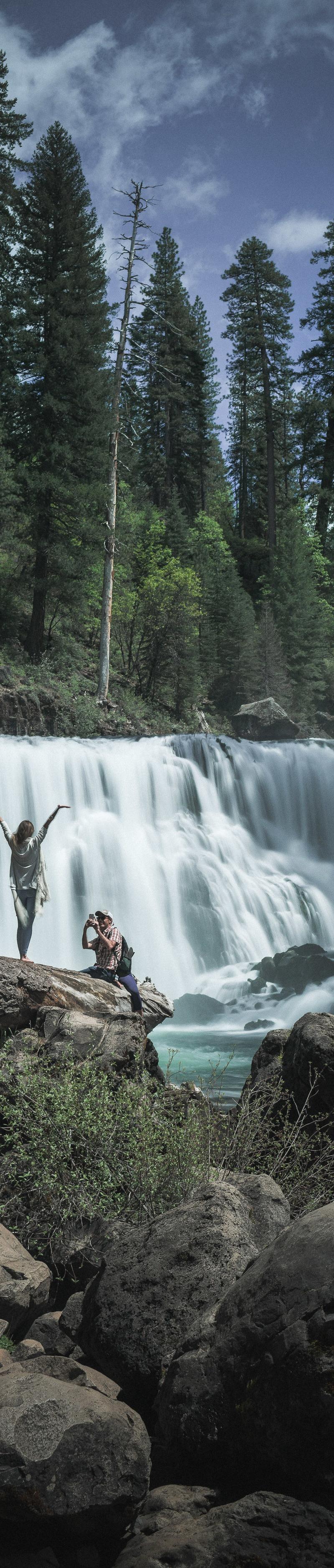 Shasta