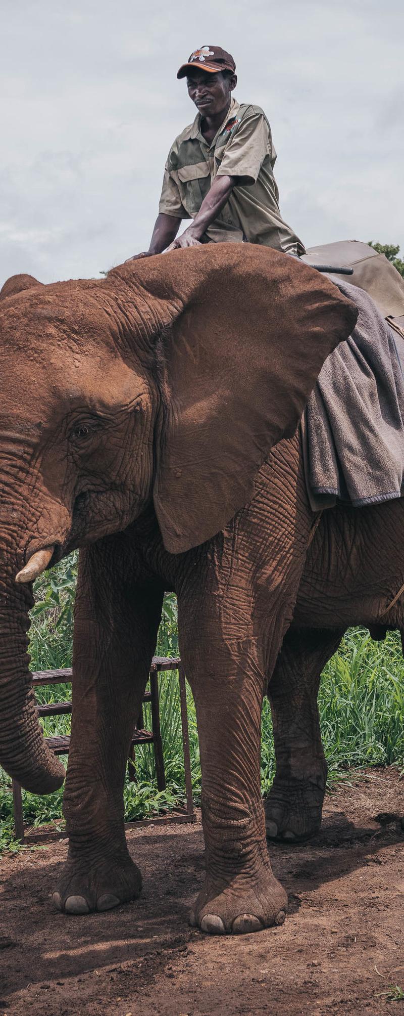 Southern Africa