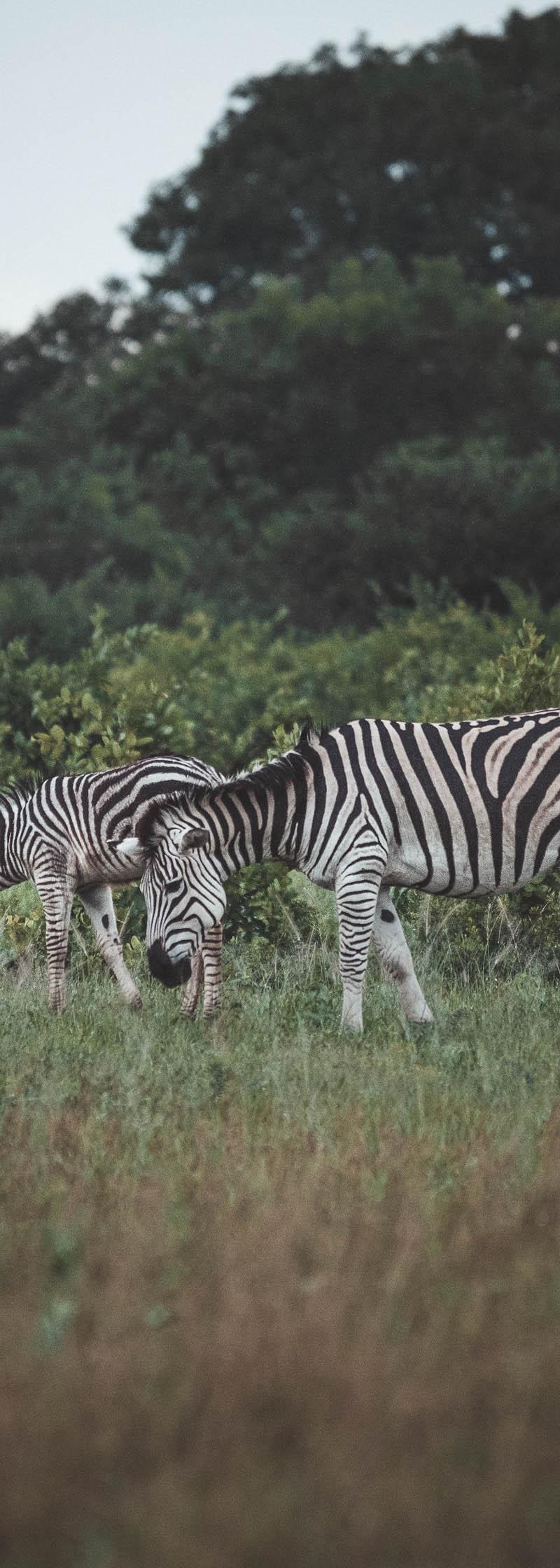 Southern Africa