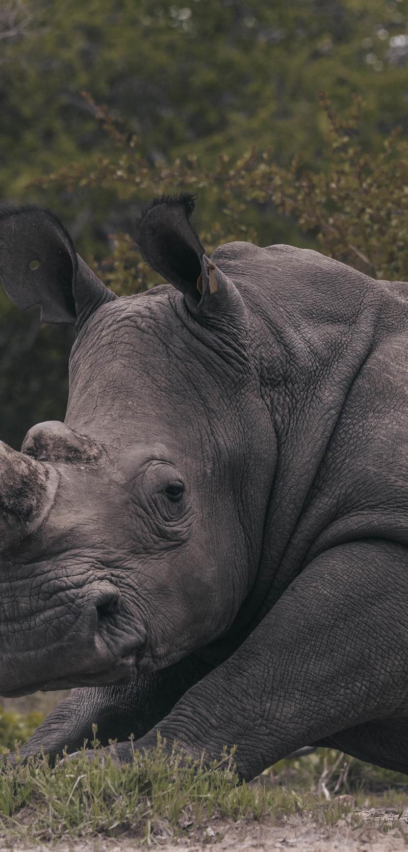 Southern Africa