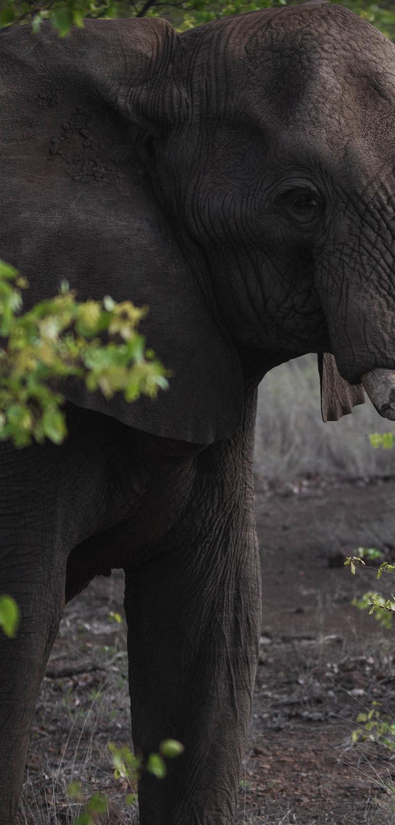 Southern Africa