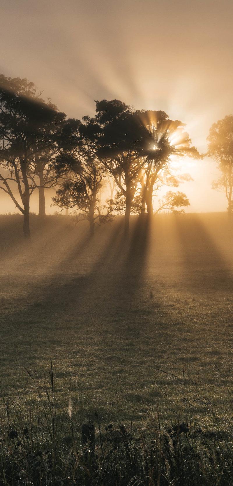 Southern Australia