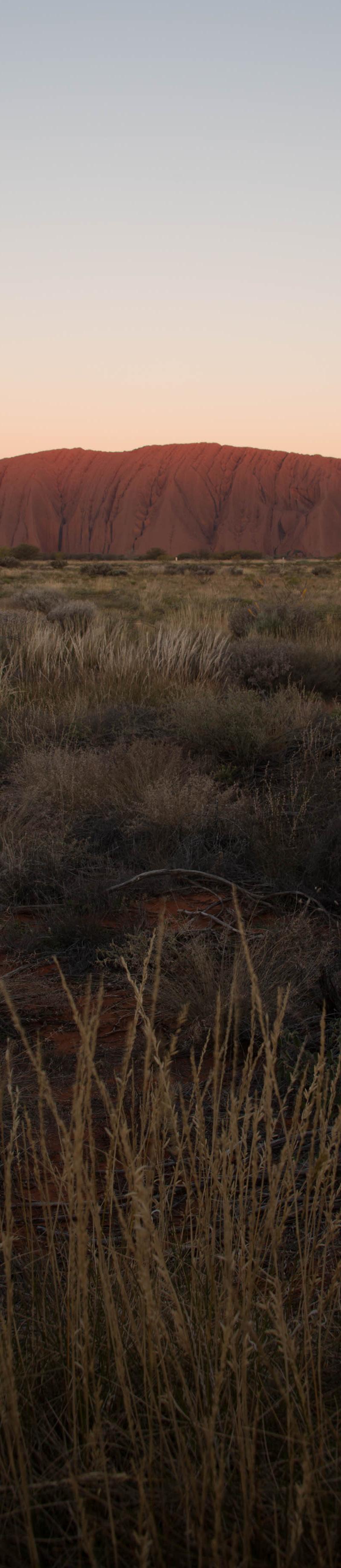 The Outback