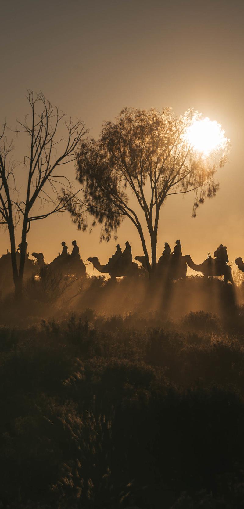 The Outback
