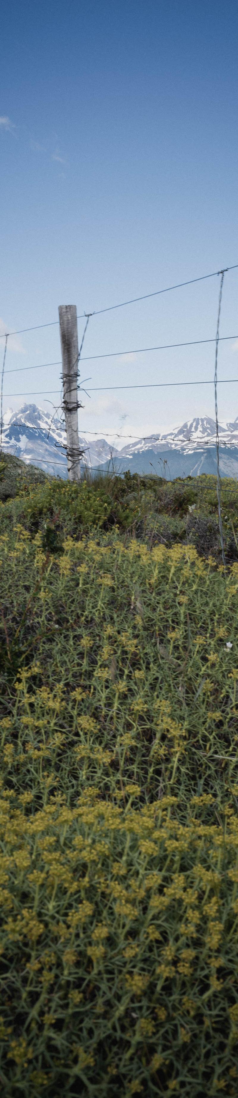 Torres del Paine