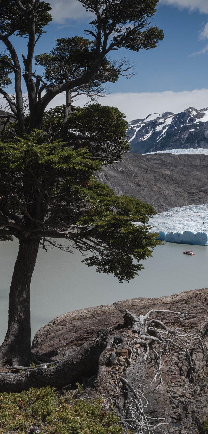 Torres del Paine