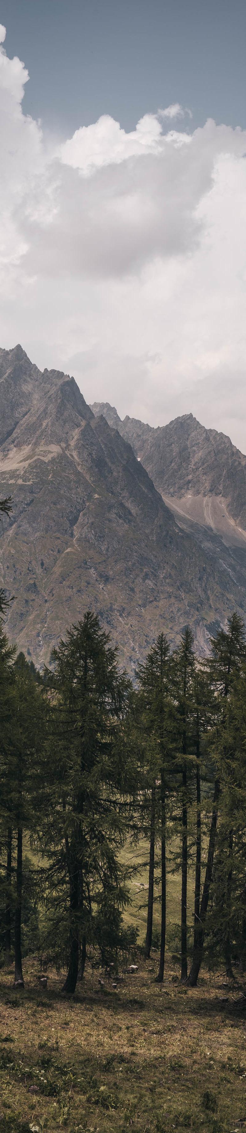 Tour de Mont Blanc