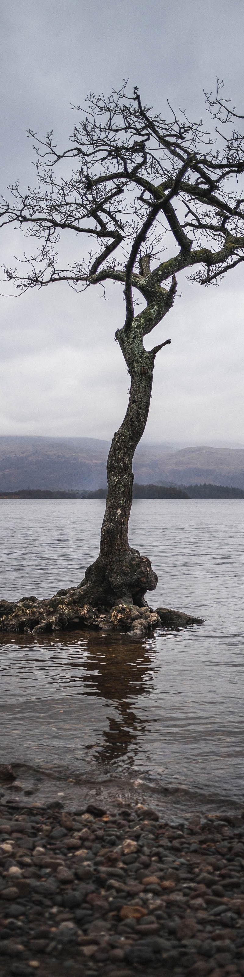 West Highland Way