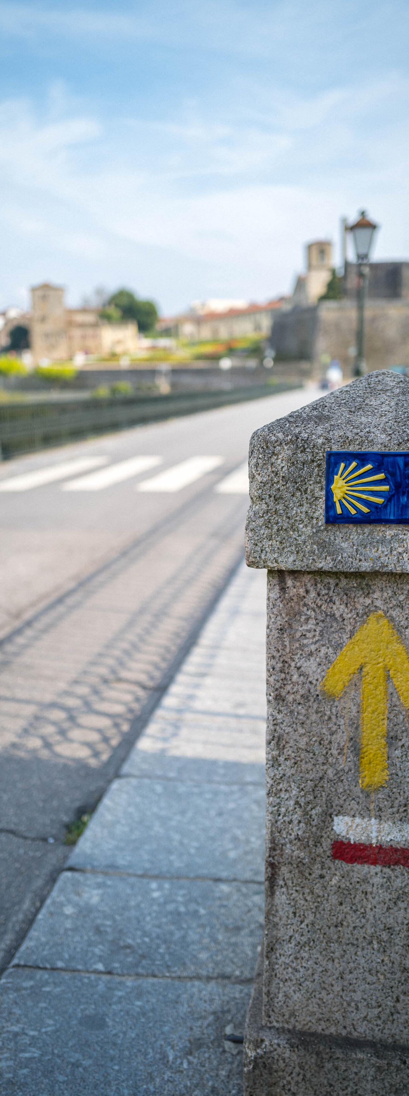 Camino Portuguese day 16 - Rates to Tamal 26km