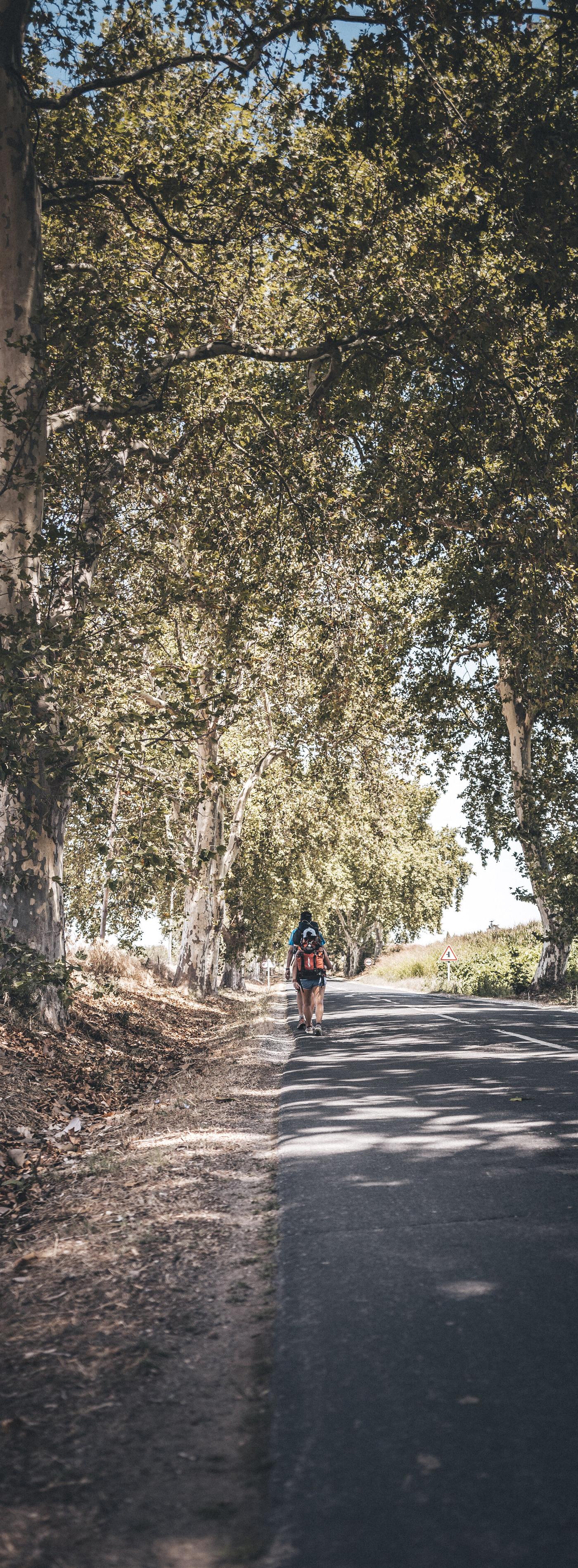 Camino Portuguese Day 5 - Golega to Tomar 30km