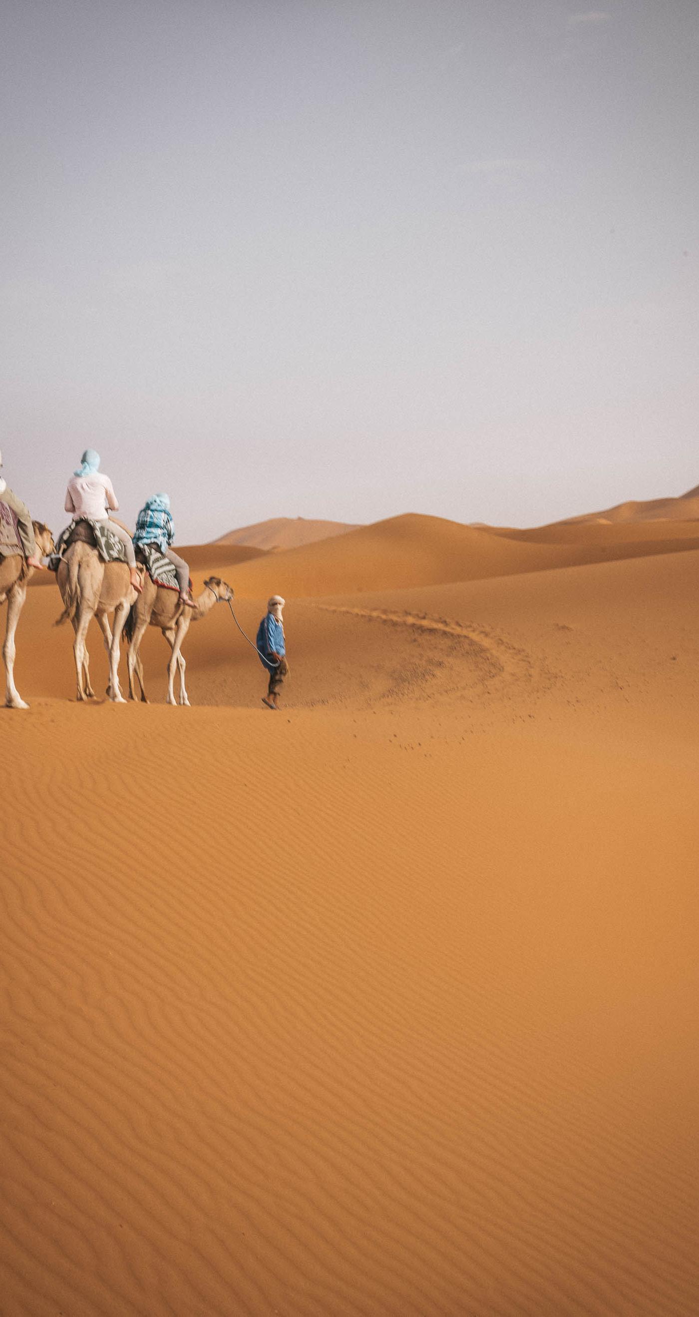 Out of the Sahara